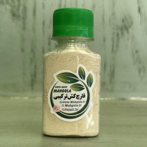 گیاه مدل برگدار مدل ۲