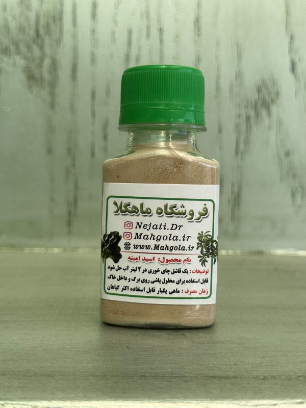 گیاه مدل برگدار مدل ۱ - Image 1